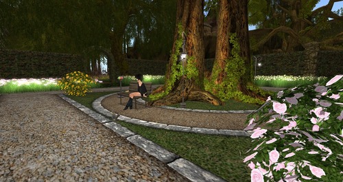 Web 50443c40b71aaa063d000001