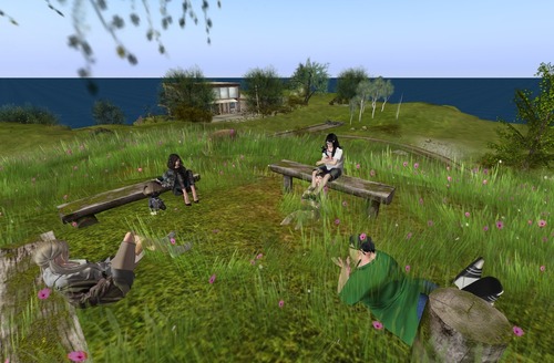 Web 57dbfcaab713f7484c000001