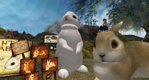 Web 57f4c648e85cda04dc000001