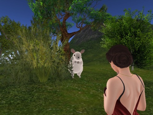 Web 5578ffb28da5721054000001