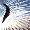 Thumb 5228ab94222a203d4a000001