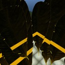 Thumb 55ff7f5da73e21323a000001