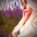 Thumb 67411b9863ba0e4ffa20c66f