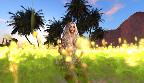 Web 674ef07b59dad41d1da1457b