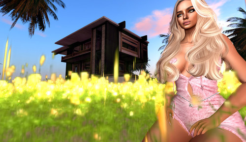 Web 674ef1597dc6a206f245a22a