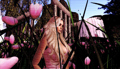 Web 674fe35d2a4cb6105255b462