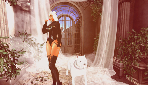 Web 675b2c151711e76beda7d082