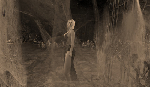 Web 675d30ec7dc6a219e745a22a