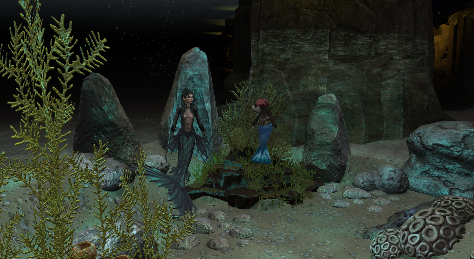 Original 67925914a35fe76ce55040e5