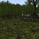 Thumb 662f9c9d366b4607441d3f1b