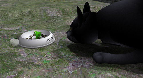 Web 66b9acff0ea2377278df7857