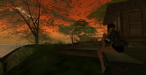 Web 515cdb2a62a6343dc9000001