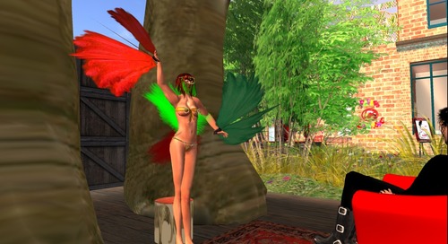 Web 51c031416bb179178c000001