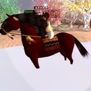 Thumb 50c2dc213215aa2d58000001