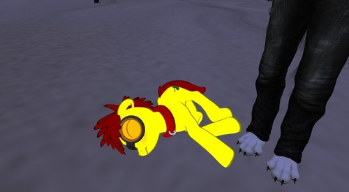 Web 52f970b8a73e213d83000001