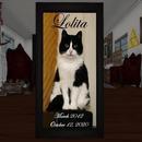 Thumb 5f89359173ed17020218cbc4