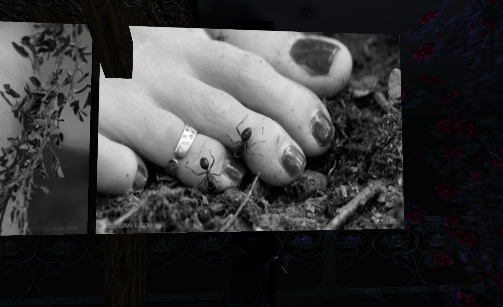 Original 534a0050128cc94c1e000001