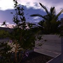 Thumb 53383a3fa73e210218000001