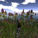 Thumb 533af80ca73e213e0f000001