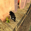 Thumb 533b2cb0a73e21470f000001