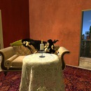 Thumb 533f43c0f8a1ec7f17000001