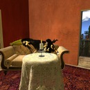 Thumb 533f44bfa73e210d67000001