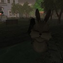 Thumb 5346c9848da5722aed000001