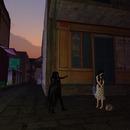 Thumb 5349f8eea73e21039e000001