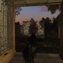 Thumb 55c64c0e8da5721214000001