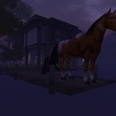 Thumb 55c654848da57256d4000001