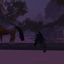 Thumb 55c654daa73e2161b7000001