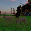 Thumb 55ce6ce2a73e214710000001