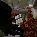 Thumb 5cd5dc6673ed171b6a000001