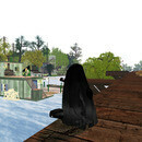 Thumb 67e82d88018f0305b2d3637d