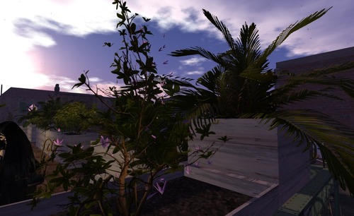 Web 53383a3fa73e210218000001