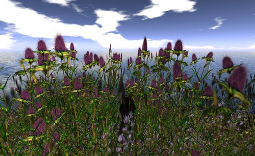 Web 533af80ca73e213e0f000001