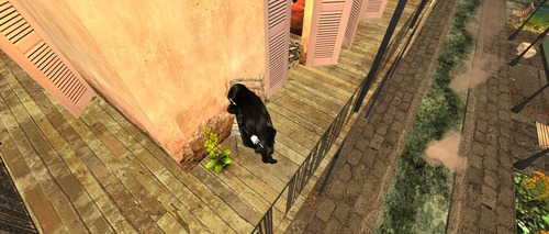 Web 533b2cb0a73e21470f000001