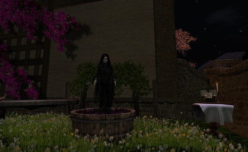 Web 533c3a558da57231b4000001