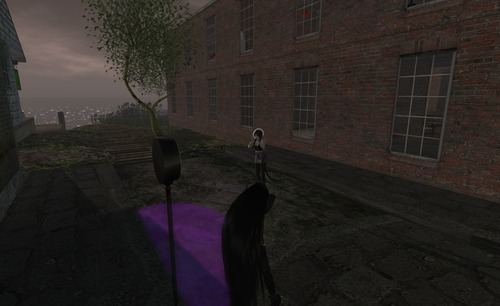 Web 5345a563128cc93ce5000001