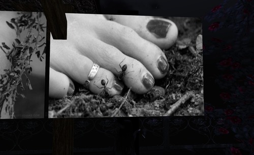 Web 534a0050128cc94c1e000001