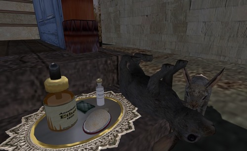 Web 534b03978da5723e99000001