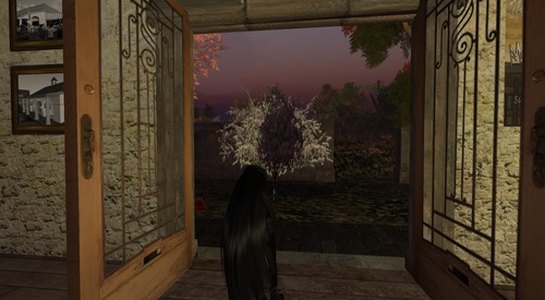 Web 55c64ba2f8a1ec5be1000001