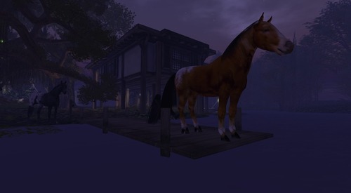 Web 55c654848da57256d4000001