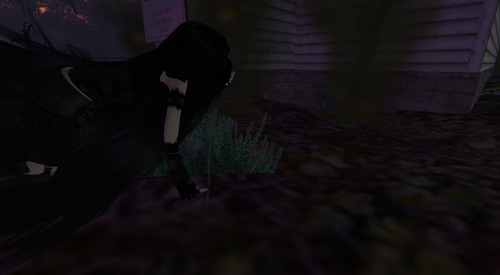 Web 55ca4af9128cc94e19000001