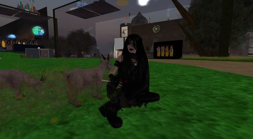 Web 55ce6bbbf8a1ec4019000001