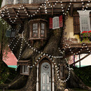 Thumb 65968da699514f7c8709ac3b