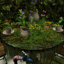 Thumb 659691a45836cb7f25007bdf