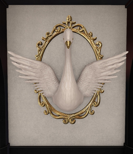 Web 65bc8dd875f803544304e425