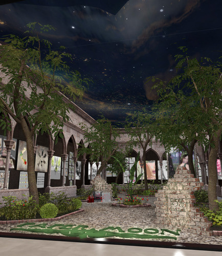 Web 65bc9171cf2e4943eca238f7