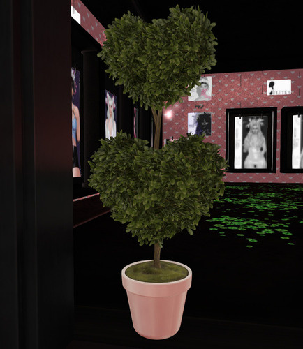 Web 65bc97b75158382dd421dffb